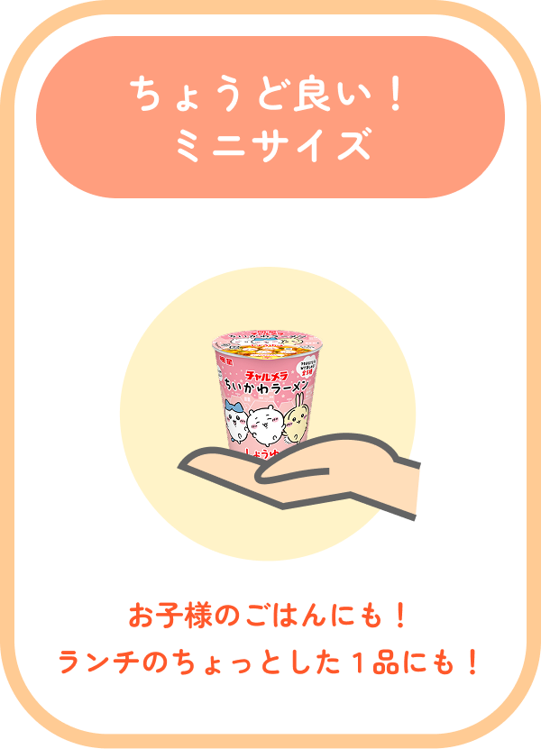 ちょうど良い！ ミニサイズ お子様のごはんにも！ランチのちょっとした１品にも！