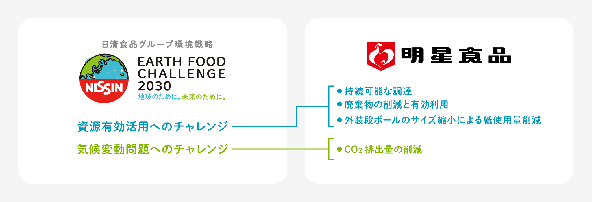日清食品グループ環境戦略　EARTH FOOD CHALLENGE 2030　地球のために、未来のために。　資源有効活用へのチャレンジ　持続可能な調達、廃棄物の削減と有効利用、外装段ボールのサイズ縮小による紙使用量削減　気候変動問題へのチャレンジ　CO2排出量の削減